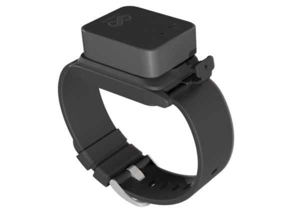 My Companion Band - Image 4